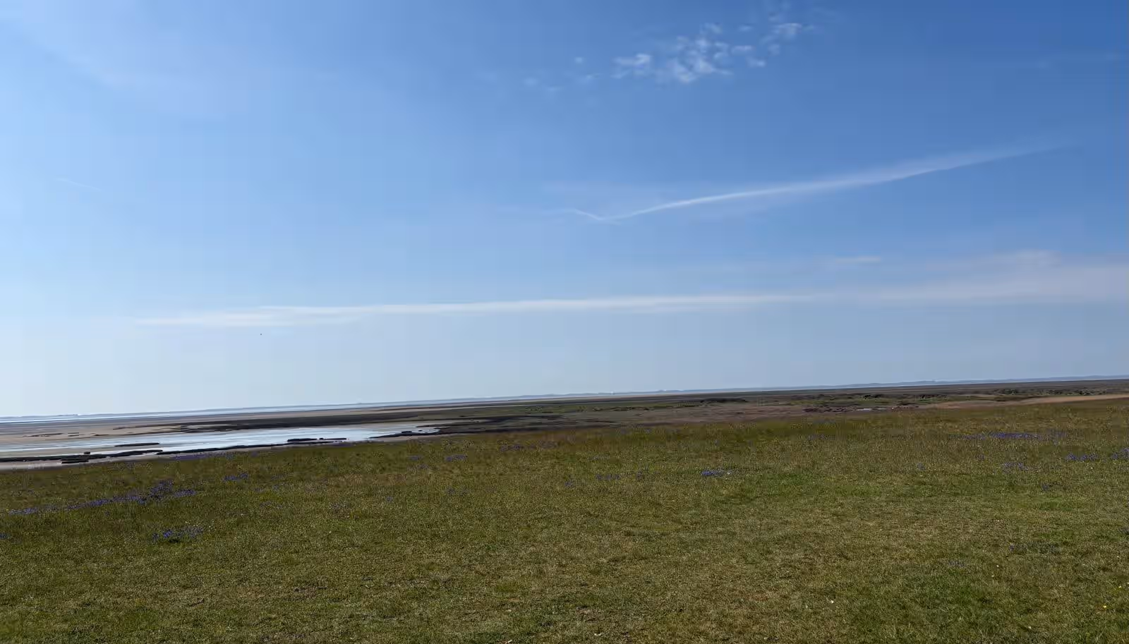 Een duin in Schiermonnikoog
