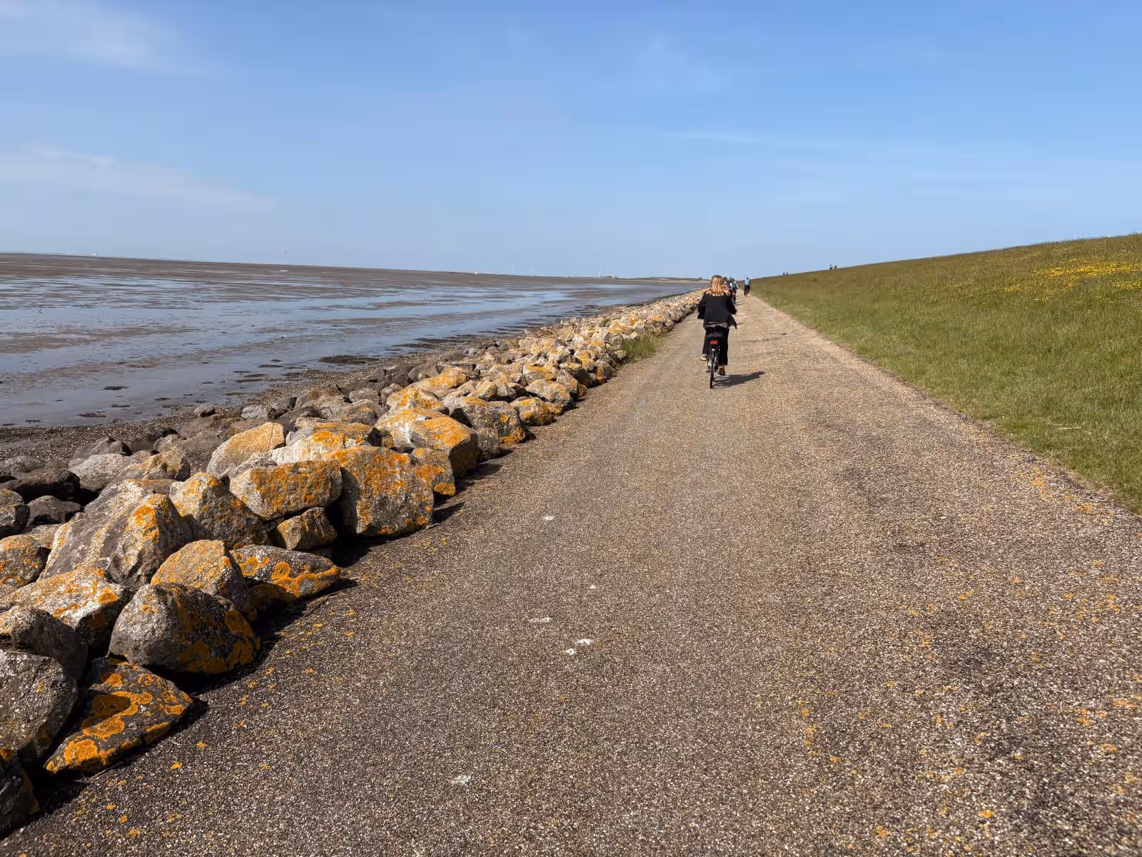 Fietsers langs de kust