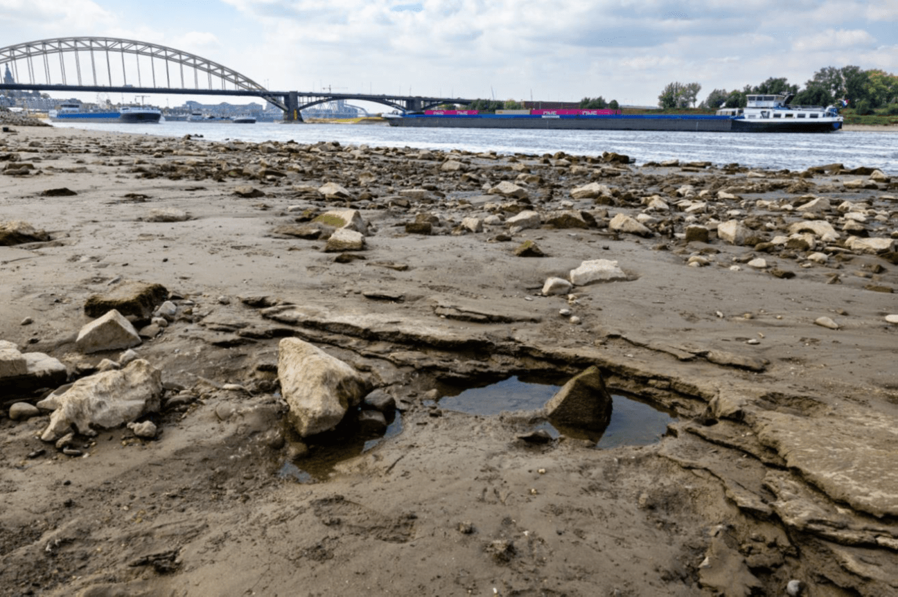 Foto van droogte bij de Waal in Nijmegen