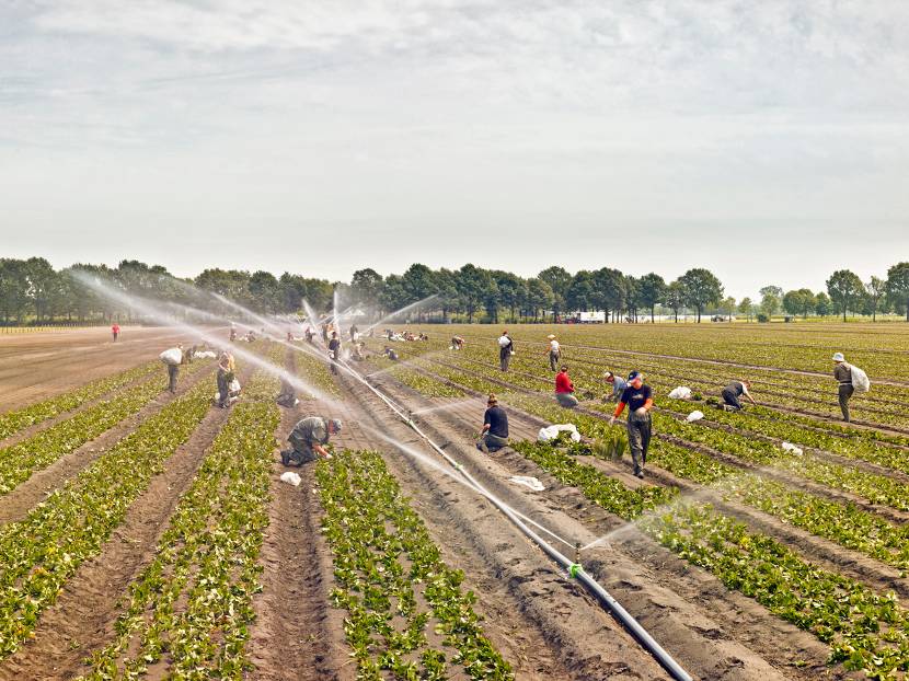 Akker oogst loonwerkers beregening