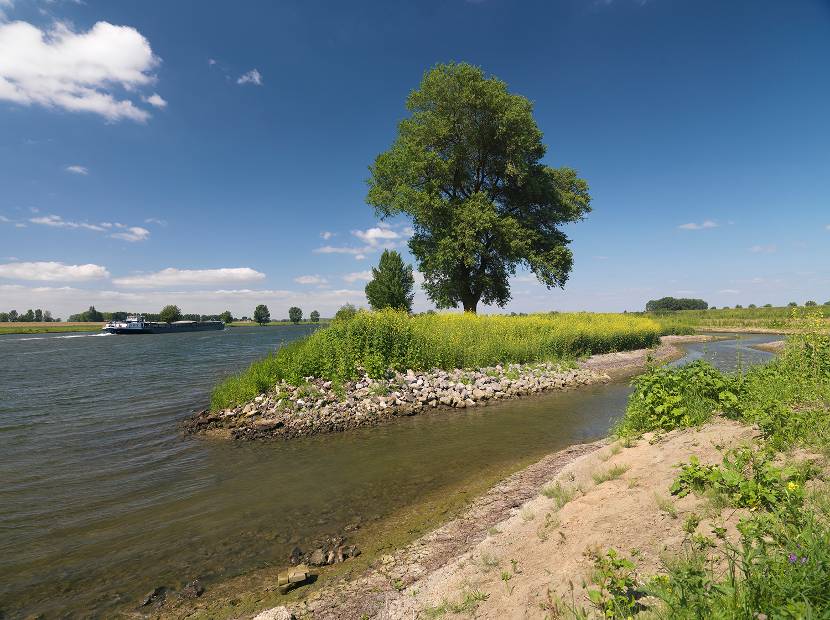 Rivier de Maas bij Alem