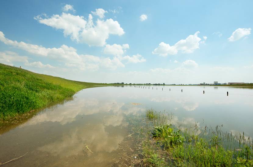 Hoogwater-hondsbroeksche-pleij