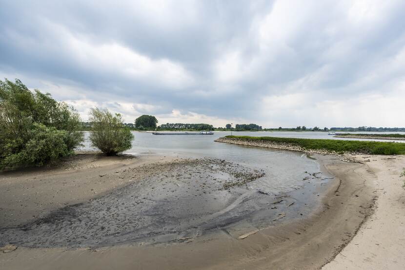 Droogte door lage waterstanden in de rivier de Rijn bij Spijk in juni 2022.   Fotograaf: Tineke Dijkstra