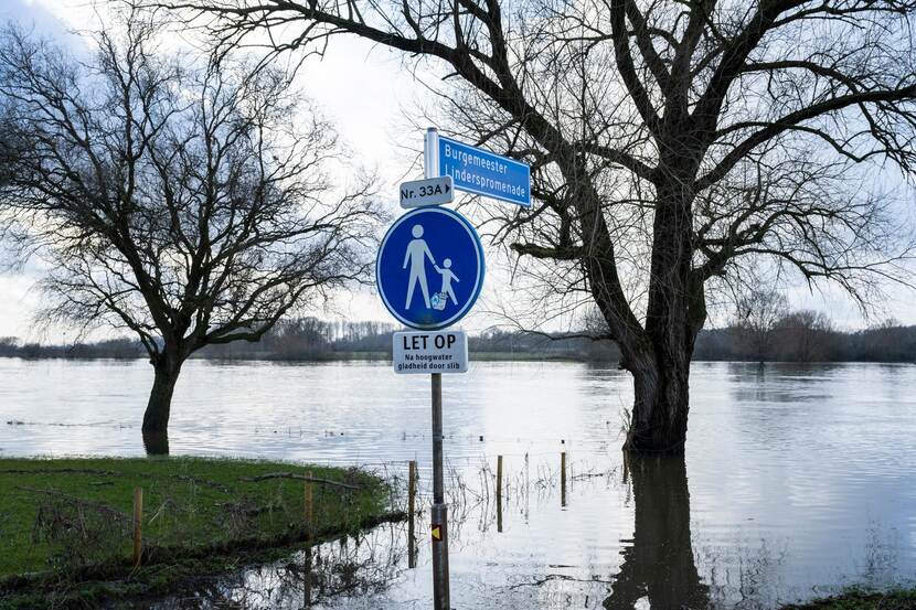 Hoogwater de Maas in Arcen (februari 2021)