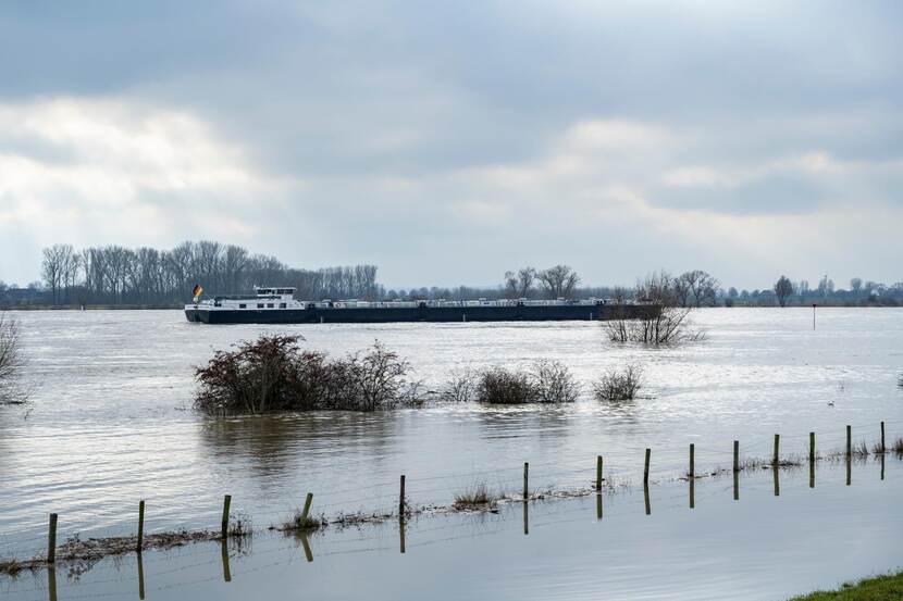 Hoogwater de Rijn in Spijk (februari 2021)