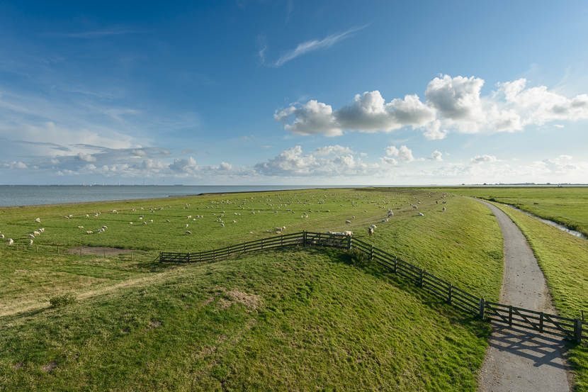 Luchtfoto weiland in IJsselmeergebied