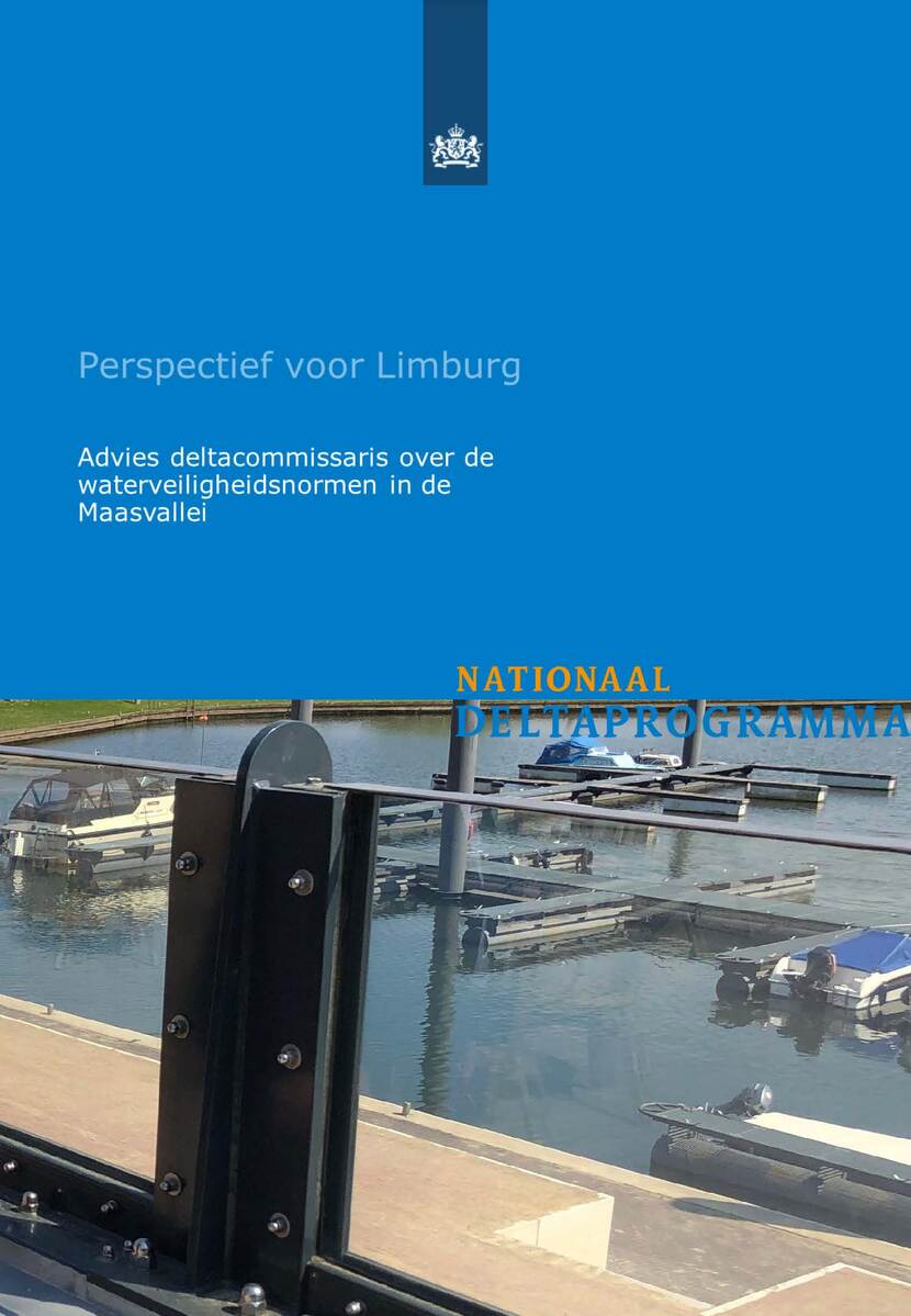 Adviesrapport "Perspectief voor Limburg"