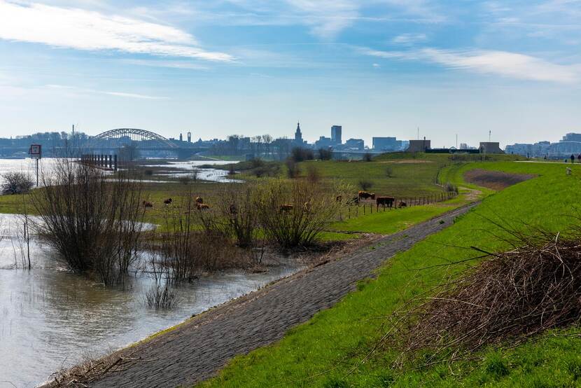 Uiterwaarden va de rivier de Waal stromen vol door hoogwater